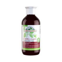 Champu cabello caoba henna,...