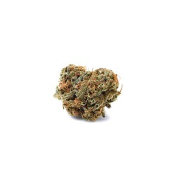 Flor de CBD Premium Orange...