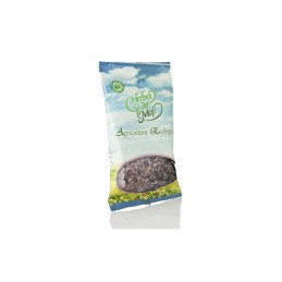 Pino yemas bio 35g Herbes...