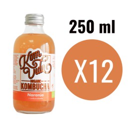 Kombucha Naranja Bio...