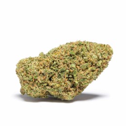 Flor de CBD Guava Tropical...