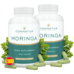 copy of Moringa Oleifera...
