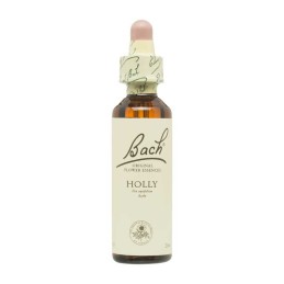 Flor nº 15 Acebo (holly)...