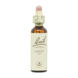 Flor nº 19 Larch 20ml Bach