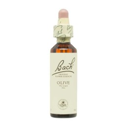Flor nº 23 Olivo (olive)...