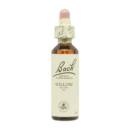 Flor nº 38 Sauce (willow)...